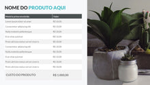Load image into Gallery viewer, Apresentação de Precificação de Produtos em Powerpoint