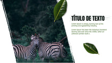 Load image into Gallery viewer, Apresentação de Animal em Powerpoint